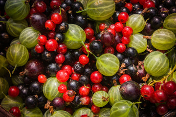 Beeren Mix