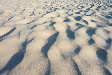 砂の風紋