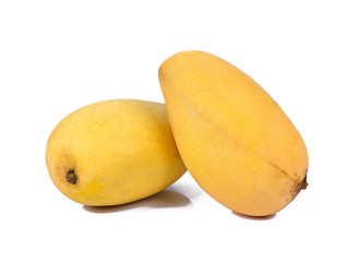 mango fruit isolated on white background