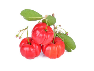 Barbados cherry, Malpighia emarginata, from central of Thailand