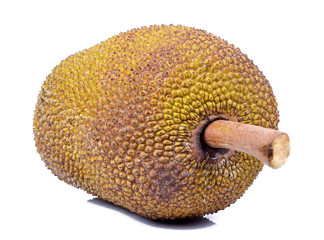 Jackfruit isolated on white background
