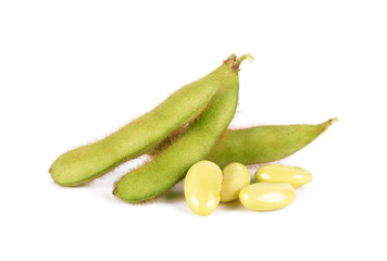 soybean isolated on white background