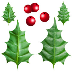 Christmas holly berry ornament on white background