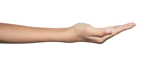 woman hand isolate with clipping path