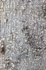 ice cubes as background