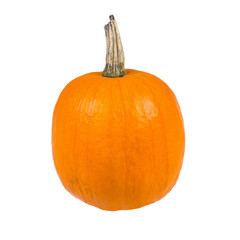Ein einzelner orangener Halloween Kürbis isoliert auf weißem Hintergrund