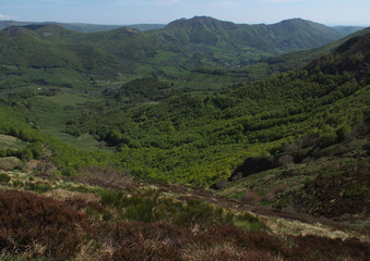Fototapeta na wymiar Blick ins grüne Vallée de la Jordanne