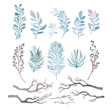 A collection of winter floral branches painted in watercolor.
