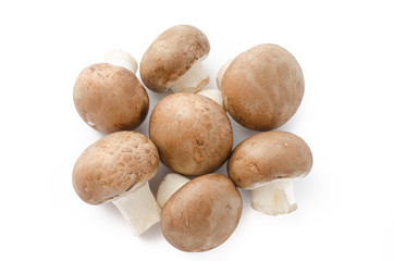 Fototapeta premium Champignons