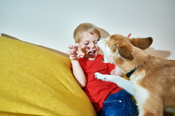 Cheerful boy playing an active game with his favorite dog