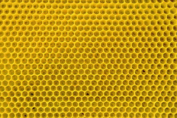 Yellow honeycomb background.
