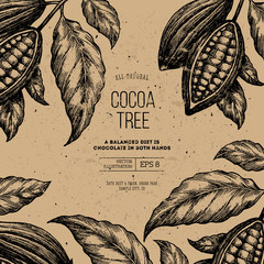 Cocoa bean tree design template. Engraved style illustration. Chocolate cocoa beans. Vector illustration