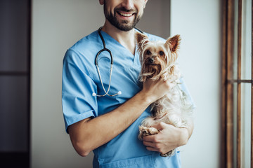 Doctor veterinarian at clinic