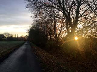 sunrise in a autumn view of German village in sun rays near Alps