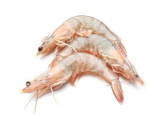 Fresh shrimps on white background