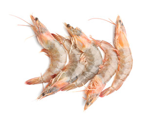 Fresh shrimps on white background