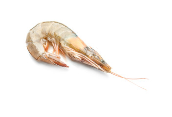 Fresh shrimp on white background