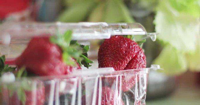 Ripe juicy strawberries in a plastic transparent box.