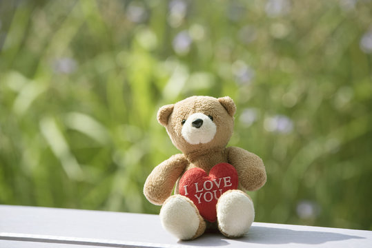 Brown bear and red heart with blurred floral floor.