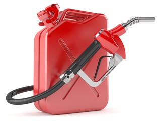 Gasoline nozzle with canister
