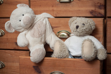 ours en peluche