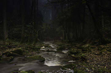 Schwazwald