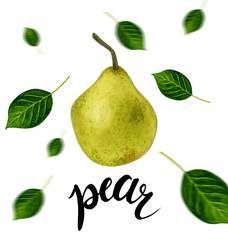 Hand drawn fruit illustration. Sweet pear and leaves. Sketch for card or poster - modern lettering.