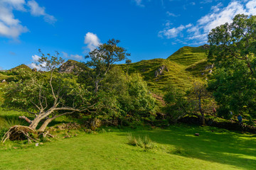 The very green nature of the Mystic Fairy Glen in the Isle of SKye, Scotland