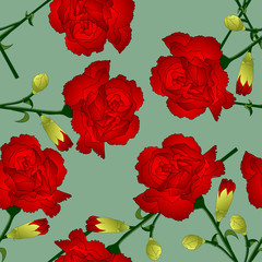 Red Carnation Flower on Green Background