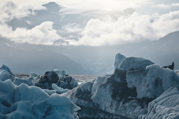 Beautiful cold landscape picture of icelandic glacier lagoon bay,