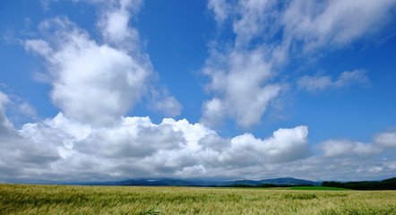 Scenery of Biei Hokkaido