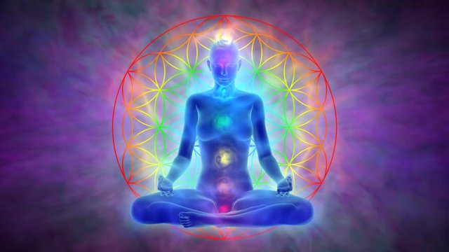 Meditation - flower of life