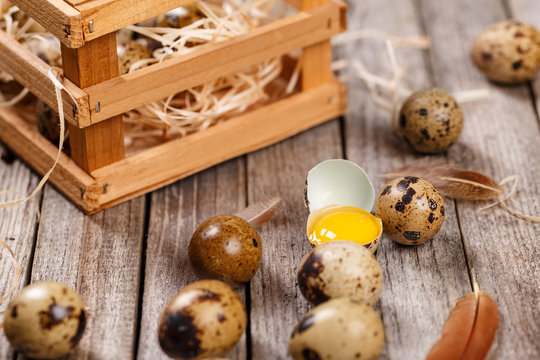 Fresh quail egg