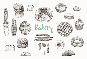 Bakery set. Bread vector hand drawn illustration. Vintage collection with bread, long loaf, toast, cookie, muffin,  pie, buns and croissant. Engraved style
