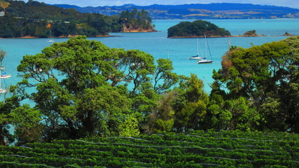 Waiheke Island