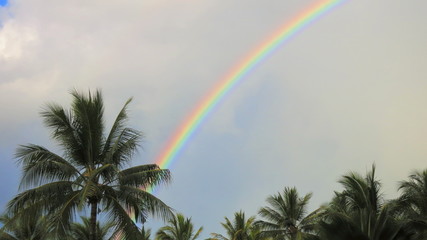 Rainbow in Hamilton Island