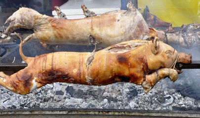 Fototapeta na wymiar The pig is cooked on coals and fire for the whole family's dinner