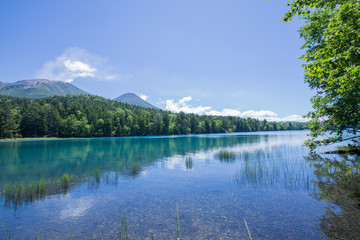 夏の阿寒湖