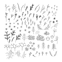 Christmas forest hand drawn elements.