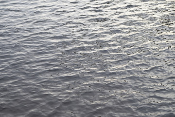 ripples on the surface of the water
