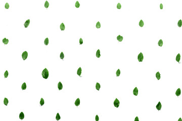 шаблон с листьями и лепестками, изолированных на белом фоне. плоский, вид сверху