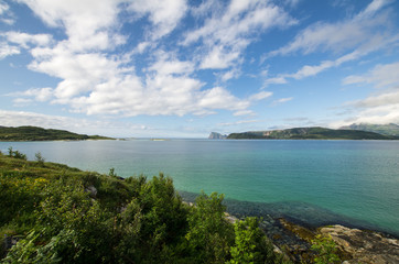 Fototapeta na wymiar Wide angle view of a Norwegian fjord in summer. Different shades of green a blue dominate the picture. Forest covered shore in foreground, distant mountains on horizon. 