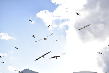 sky