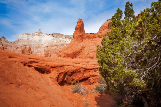 The color and unique desert beauty of massive rock formations of red and white sandstone at Kodachrome Basin State Park, Utah, USA.