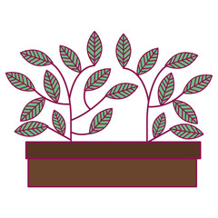 plant in pot icon vector illustration design