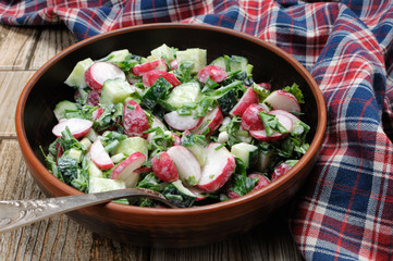 Salad from radish and cucumber
