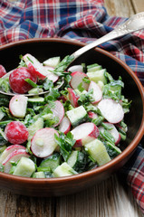 Salad from radish and cucumber