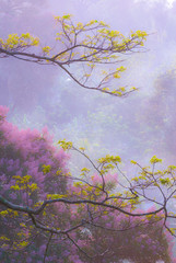 Obraz na płótnie Canvas Soft, painterly view of trees, flowers and mist, Japanese feel