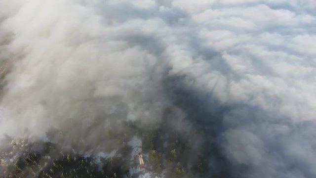 Amazing Landscape With Pine Forest under the Fog
