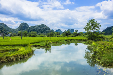 The beautiful countryside scenery in summer